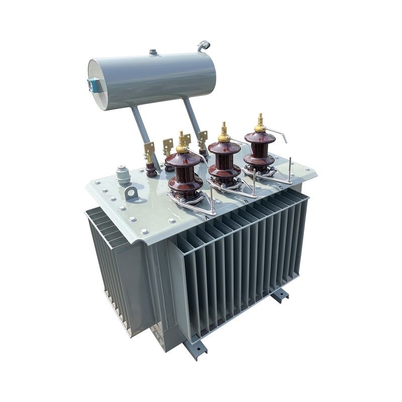11kv oil-immersed transformer. jpg